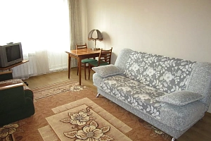 1-комнатная квартира Скуридина 1 в Ломоносове фото 23