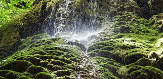 Дольмены и Пшадские водопады: можно ли туда без гида?