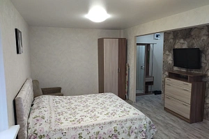 1-комнатная квартира Крупской 3 в Железногорске фото 6