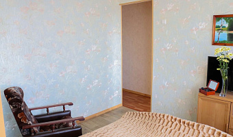 1-комнатная квартира Ленина 15 во Владимире - фото 3