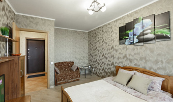 1-комнатная квартира Николаева 87 в Смоленске - фото 5