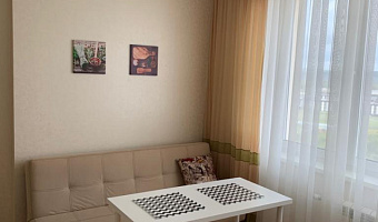 1-комнатная квартира Притомский 35к2 в Кемерово - фото 2