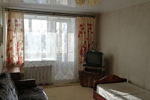 Квартира в , 1-комнатная Газовиков 35 - фото