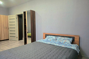 1-комнатная квартира Краеведа Соловьёва 6