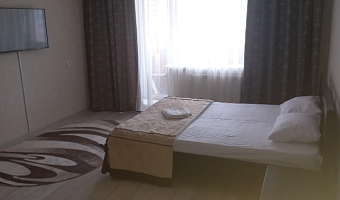 &quot;Просторная на Жукова&quot; 1-комнатная квартира в Магнитогорске - фото 2
