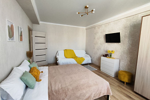 Квартиры Ставрополя 2-комнатные, 1-комнатная Доваторцев 90к1 2х-комнатная - цены