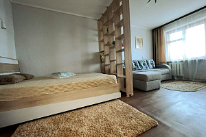 1-комнатная квартира Волочаевская 21 в Хабаровске 3