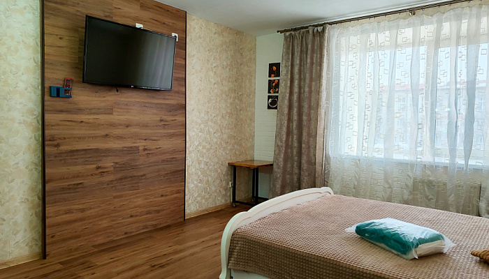 1-комнатная квартира Краснореченская 189 в Хабаровске - фото 1