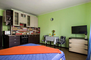 1-комнатная квартира Энергетиков 11к2 в Санкт-Петербурге 3