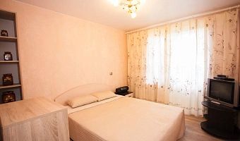 3х-комнатная квартира Богайчука 24 в Металлострое - фото 4