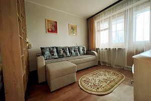 1-комнатная квартира Волочаевская 21 в Хабаровске 5