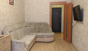 &quot;Квартира на Плющихе&quot; 1-комнатная квартира в Новосибирске - фото 2