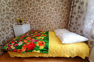 1-комнатная квартира Парашютная 21 в Красноярске 2