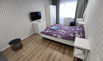 &quot;В Центре Города&quot; 1-комнатная квартира во Владивостоке - фото 2