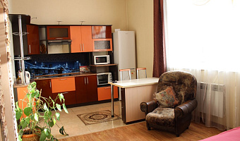 1-комнатная квартира Димитрова 38 в Барнауле - фото 5