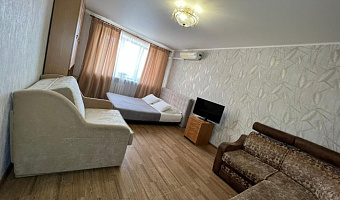 1-комнатная квартира Максима Горького 158 в Нижнем Новгороде - фото 2