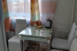&quot;Уютная для гостей посёлка&quot; 1-комнатная квартира в Чернышевске фото 4