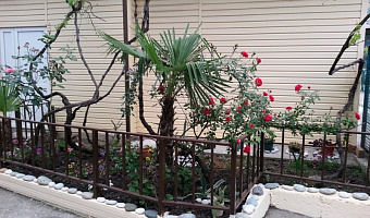 &quot;Орхидея&quot; гостевой дом в Гаграх, ул. Кольцевая, 7 - фото 4