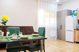 1-комнатная квартира Холмогорская 68