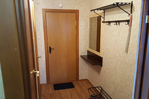 1-комнатная квартира Коммунальная 15 в Пскове фото 4