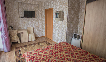 &quot;Золотой Лев&quot; гостиница в Омске - фото 5