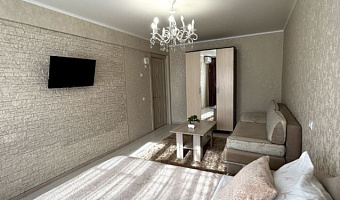 1-комнатная квартира Красноармейская 33 в Астрахани - фото 4