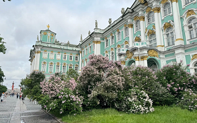 Лучшие места для зимней фотосессии в Санкт-Петербурге