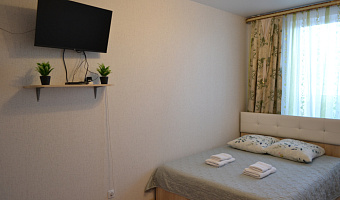1-комнатная квартира Балтийская 101 в Барнауле - фото 2