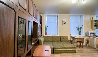 1-комнатная квартира Чернышевского 41 в Электростали - фото 3
