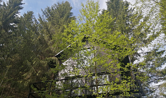 &quot;Опушка. Дом среди деревьев&quot; дом под-ключ в д. Христофоровка (Пермь) - фото 3