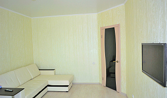 1-комнатная квартира Карьерная 24 в Орле - фото 2
