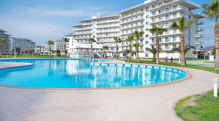 Как выбрать месяц для бюджетного отдыха в Сочи?