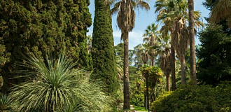 Природные заповедники и национальные парки Сочи