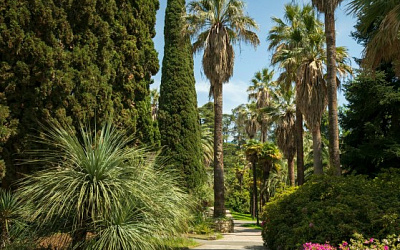 Природные заповедники и национальные парки Сочи