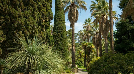 Природные заповедники и национальные парки Сочи