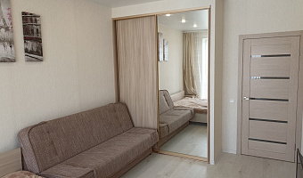 1-комнатная квартира Аллея Смелых 198Бк2 в Калининграде - фото 4