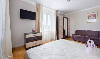 1-комнатная квартира Карла Либкнехта 30 в Кисловодске - фото 4